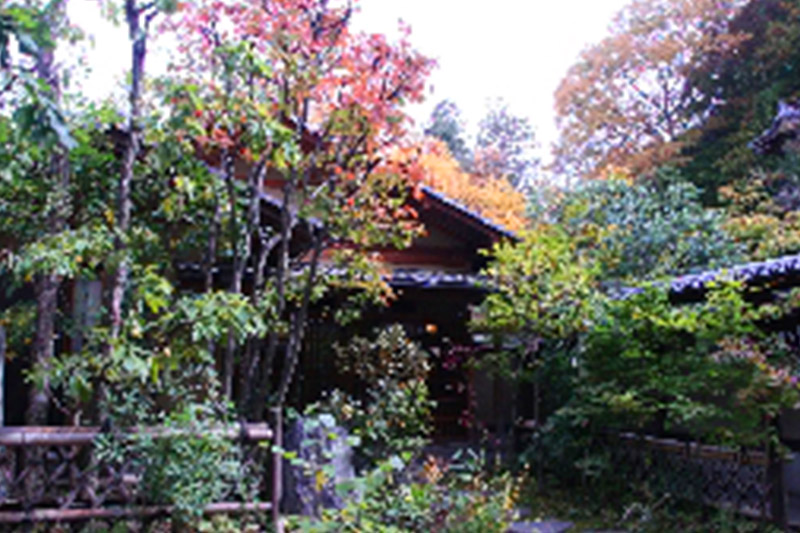 紅葉が始まっています